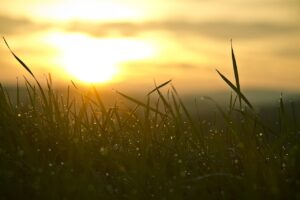 sundawn