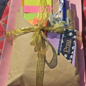 Blind Book Date: Prayer & Bible Study Edition