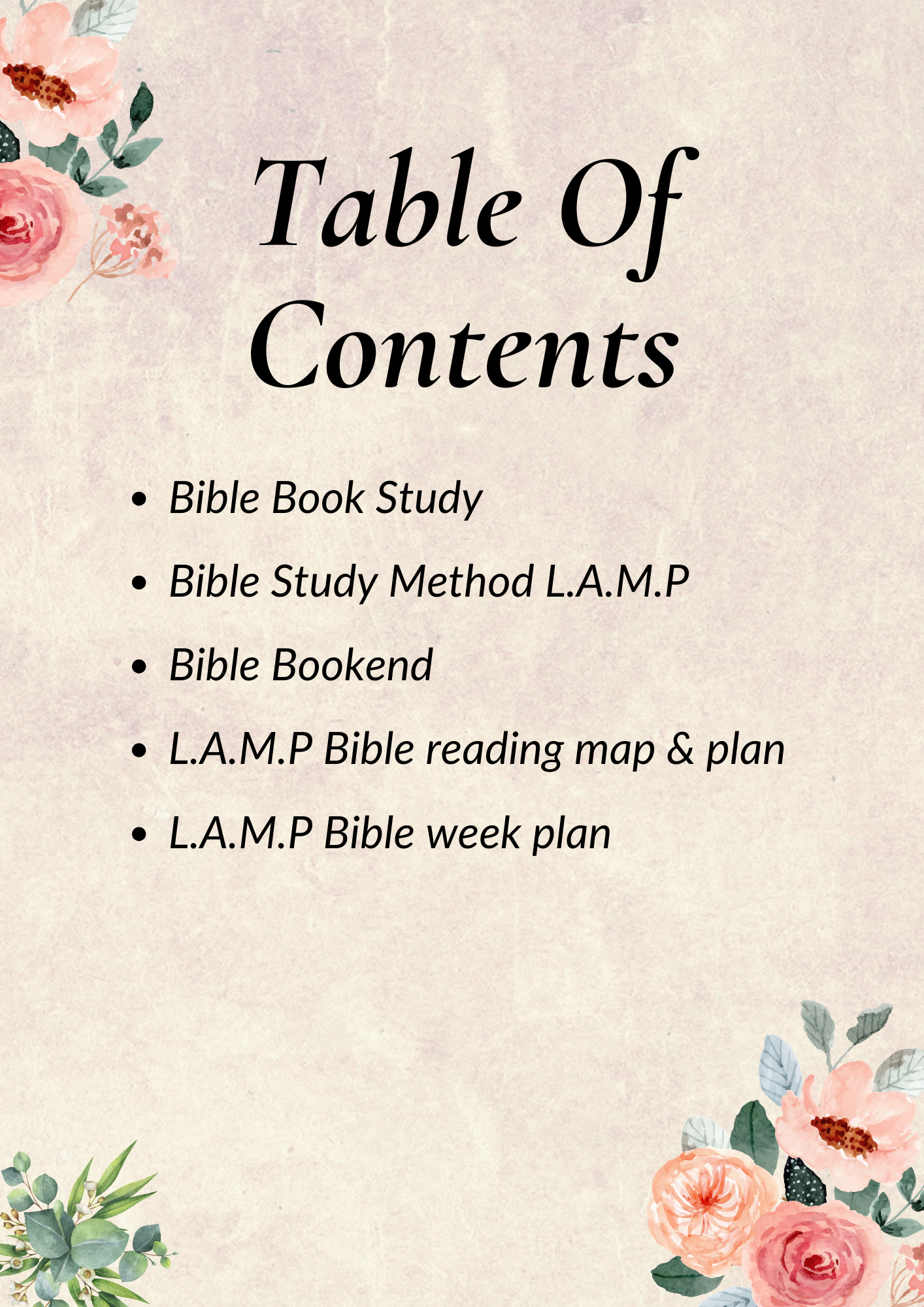 L.A.M.P Bible Reading Plan - Image 2