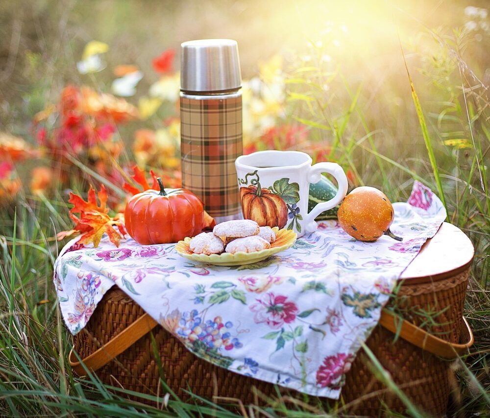 autumn, tea, fall, picnic, drink, orange, cookies, treat, season, picnic, picnic, picnic, picnic, picnic